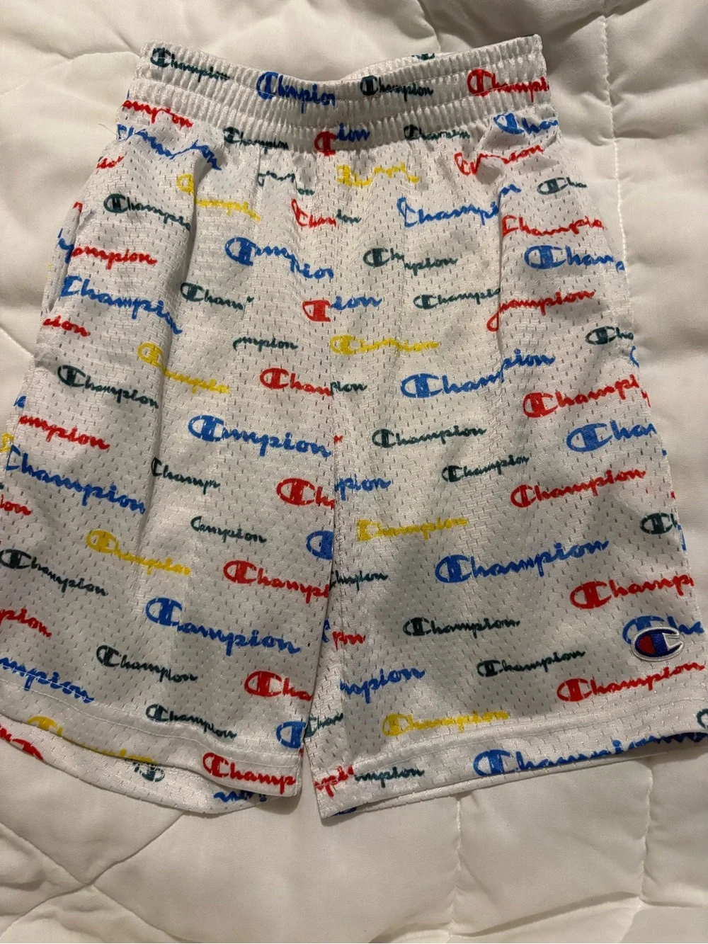 Champion Blue Tee with Multi-Color Logo Script shorts